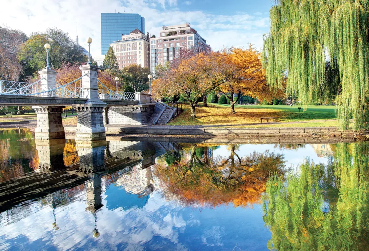 Park pond with autumn trees and city skyline reflected in the water.
