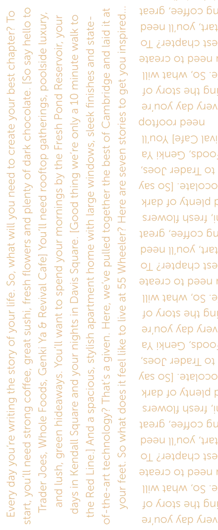 Brand overlay text